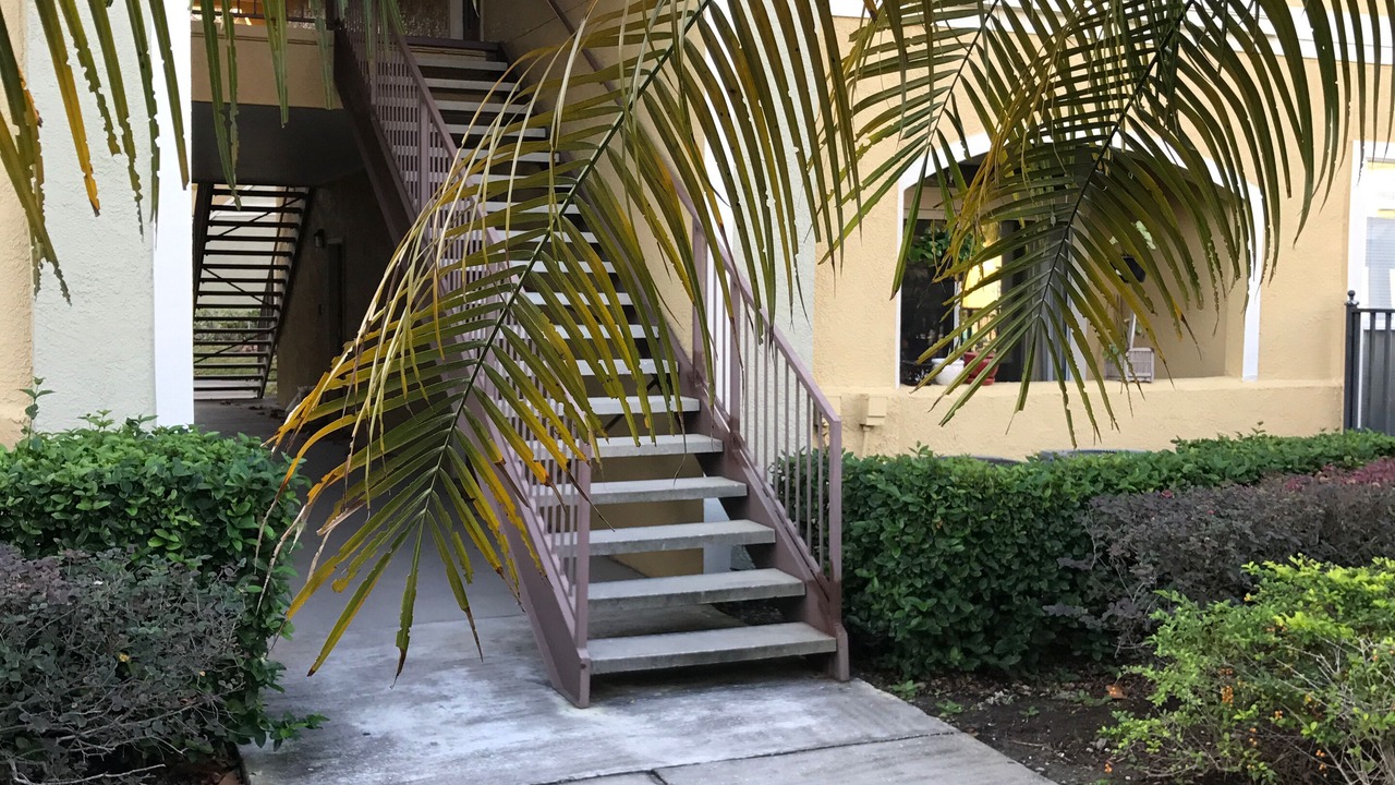 Photo of Outdoor in Clearwater