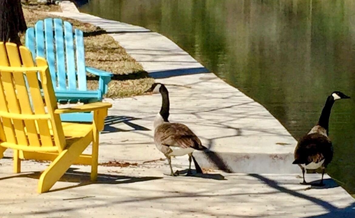 Photo of Outdoor in Kerrville