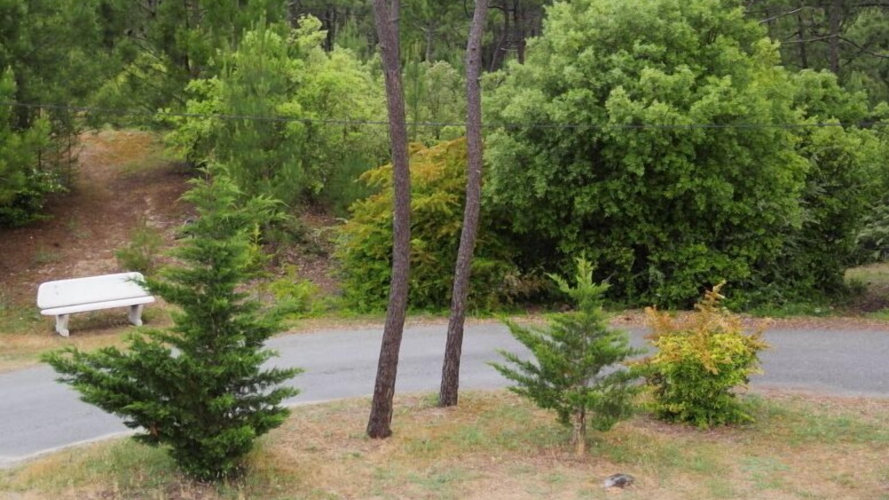 Photo of Outdoor in Saint-Jean-de-Monts