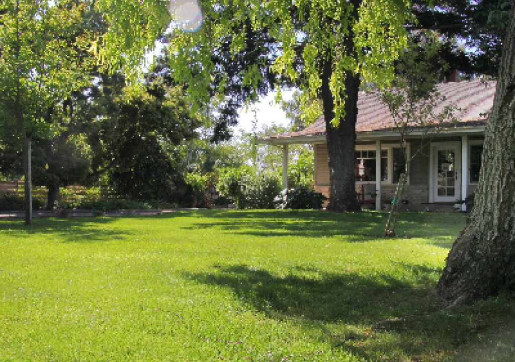 Photo of Outdoor in Lodi