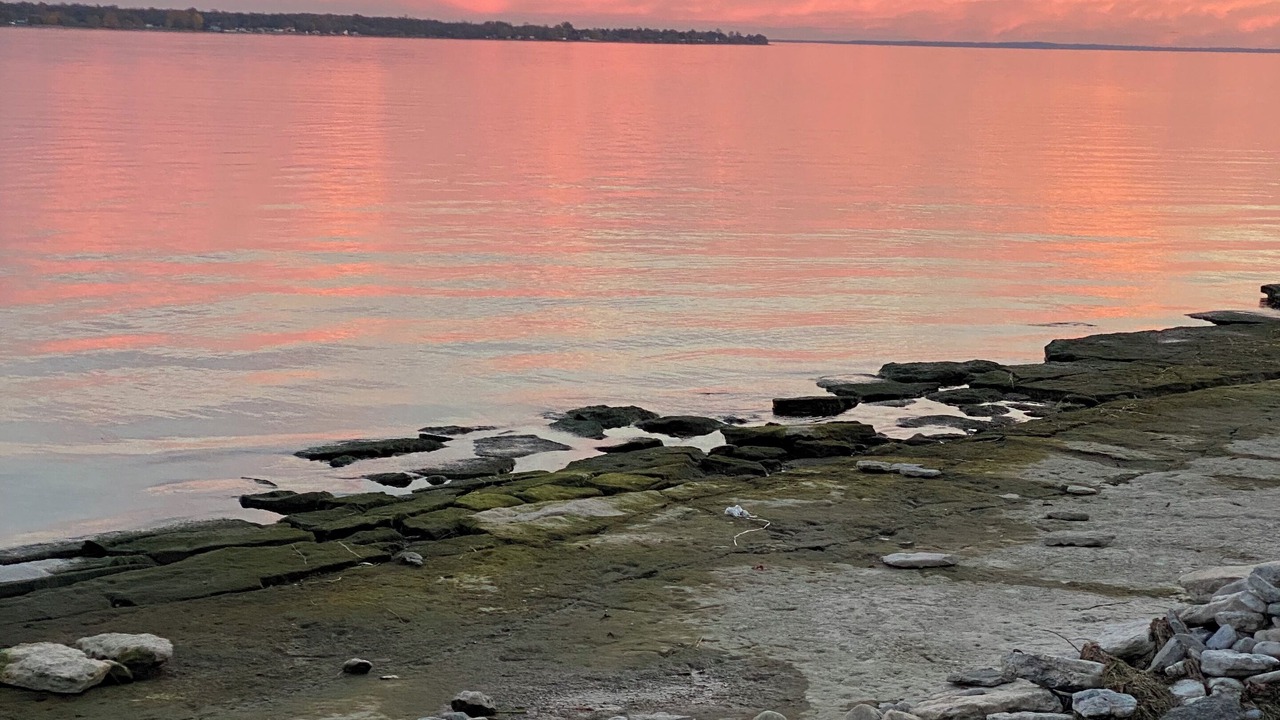 Photo of Others in Three Mile Bay