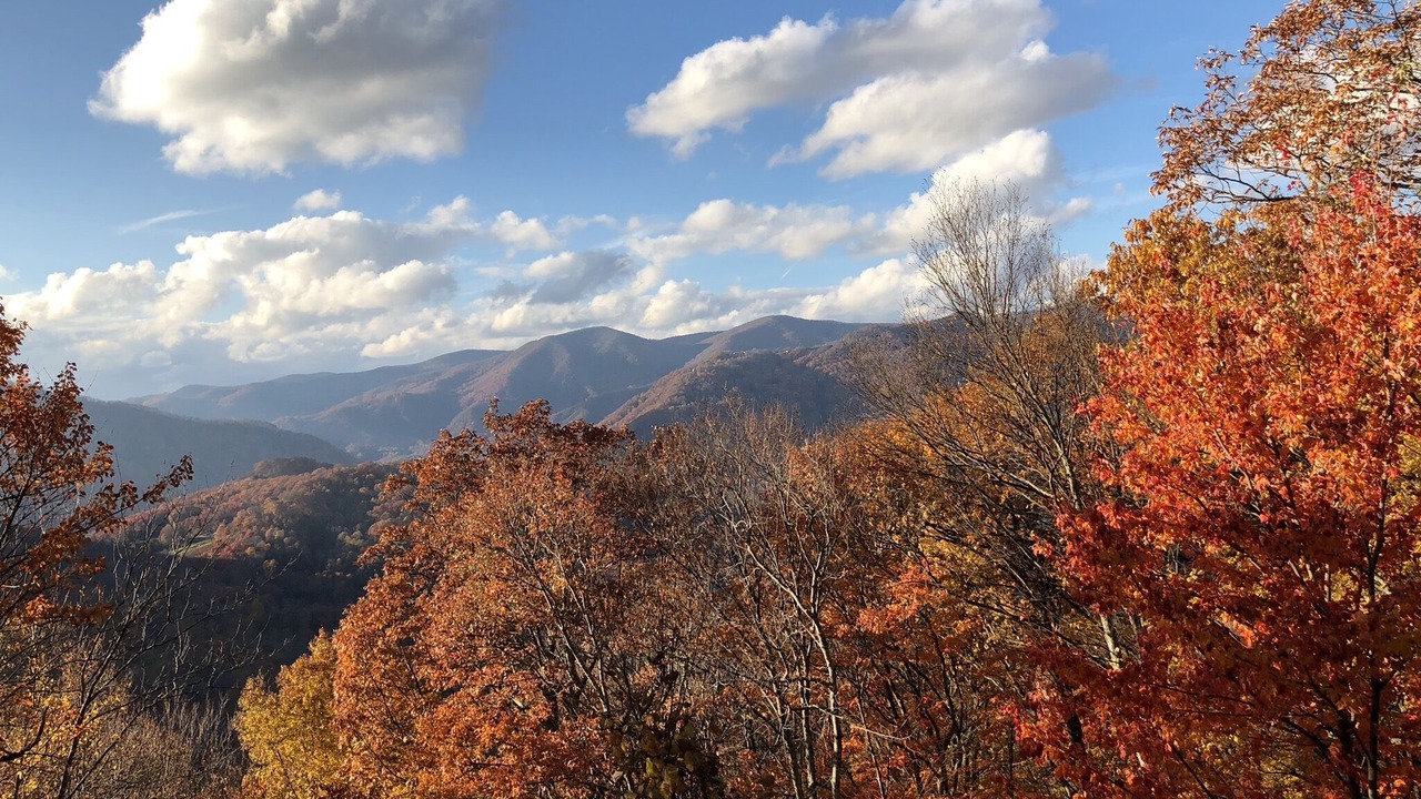 Photo of Others in Maggie Valley