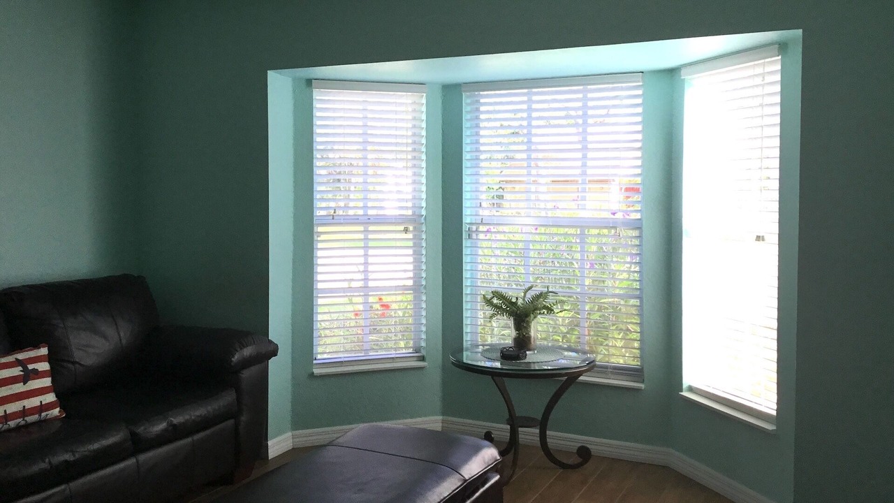 Photo of Livingroom in Tarpon Springs