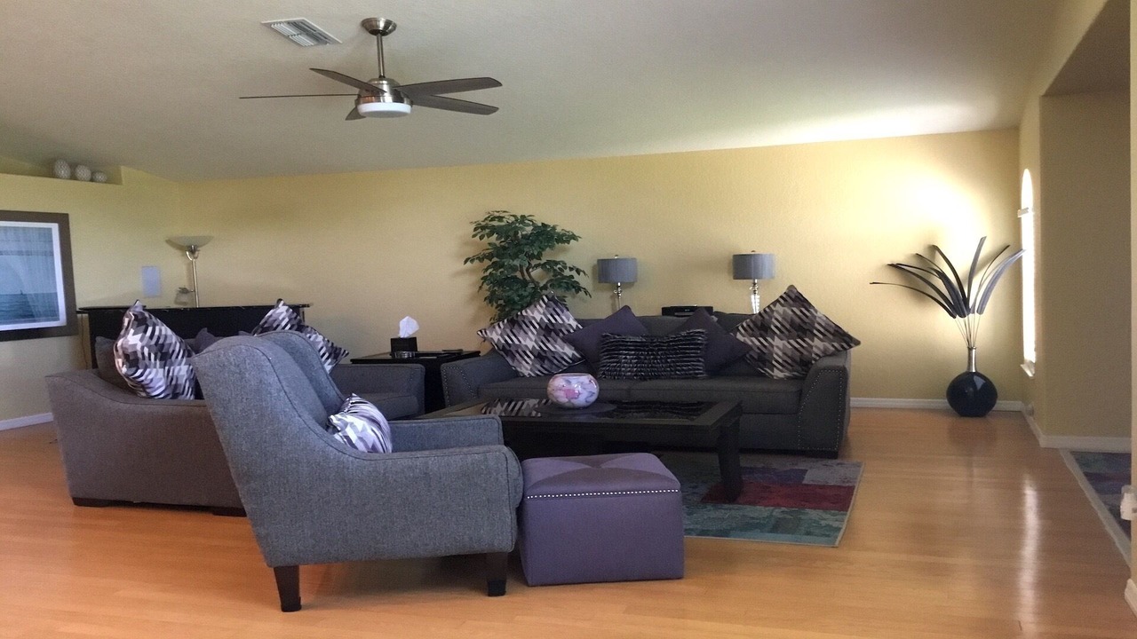 Photo of Livingroom in Tarpon Springs