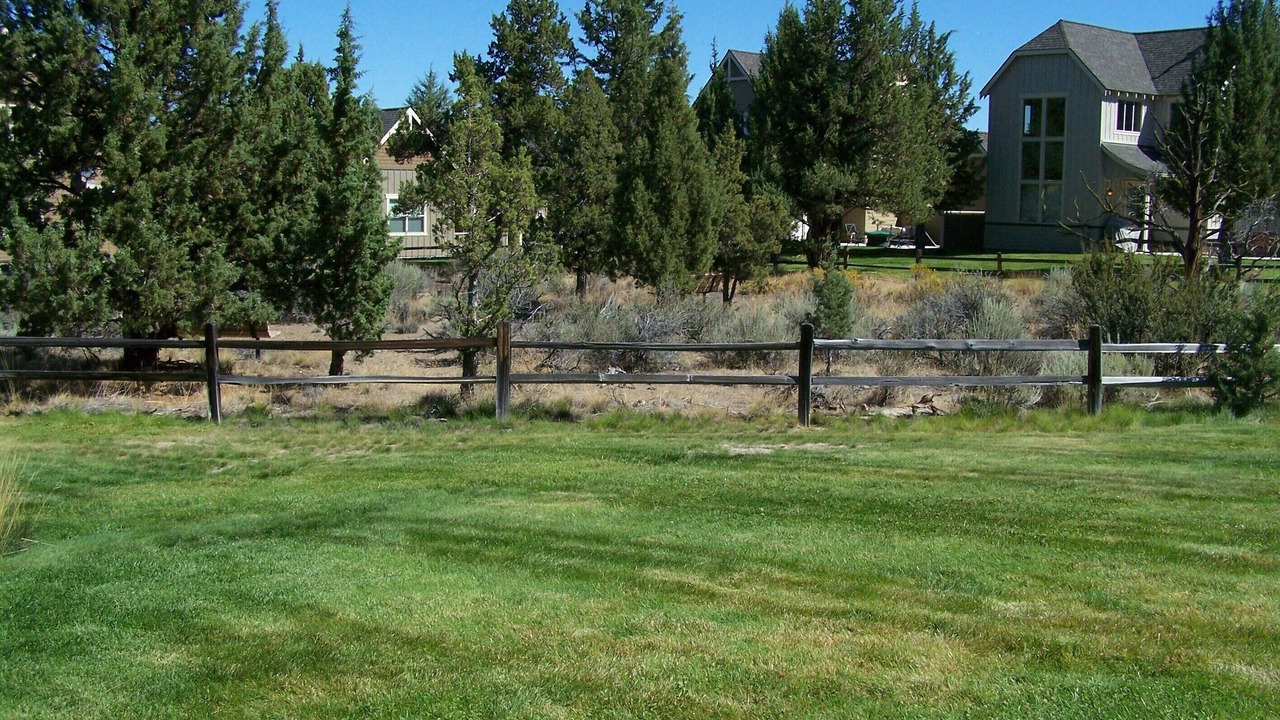 Photo of Others in Redmond