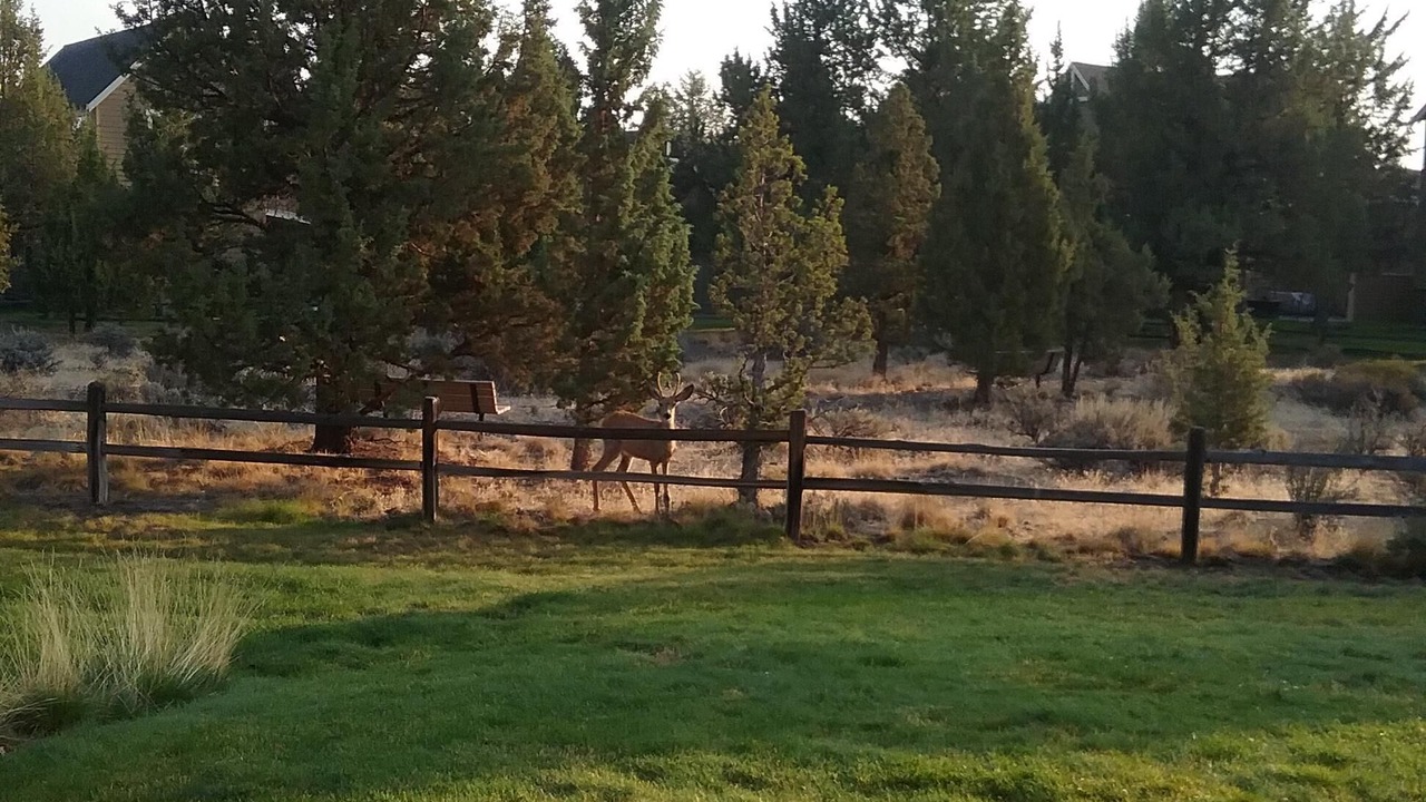 Photo of Others in Redmond