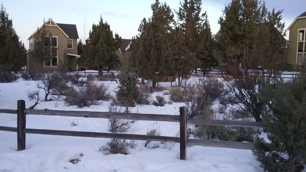 Photo of Outdoor in Redmond