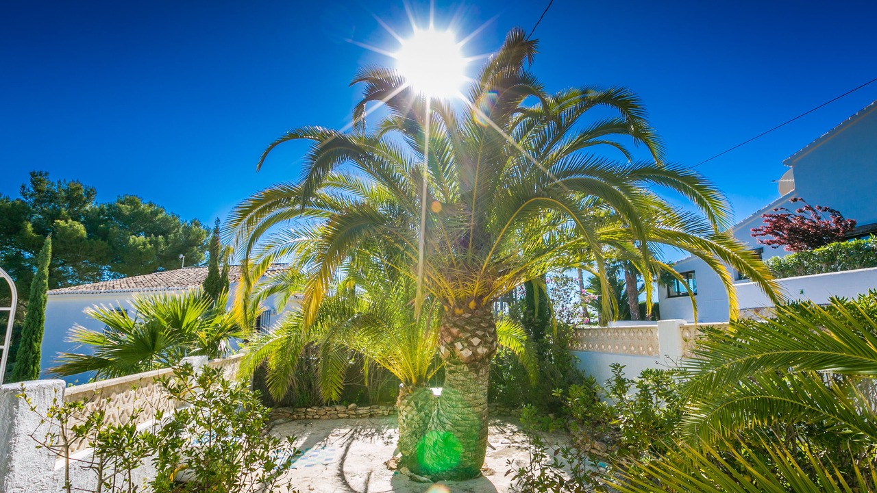 Photo of Outdoor in Pinar del Advocat