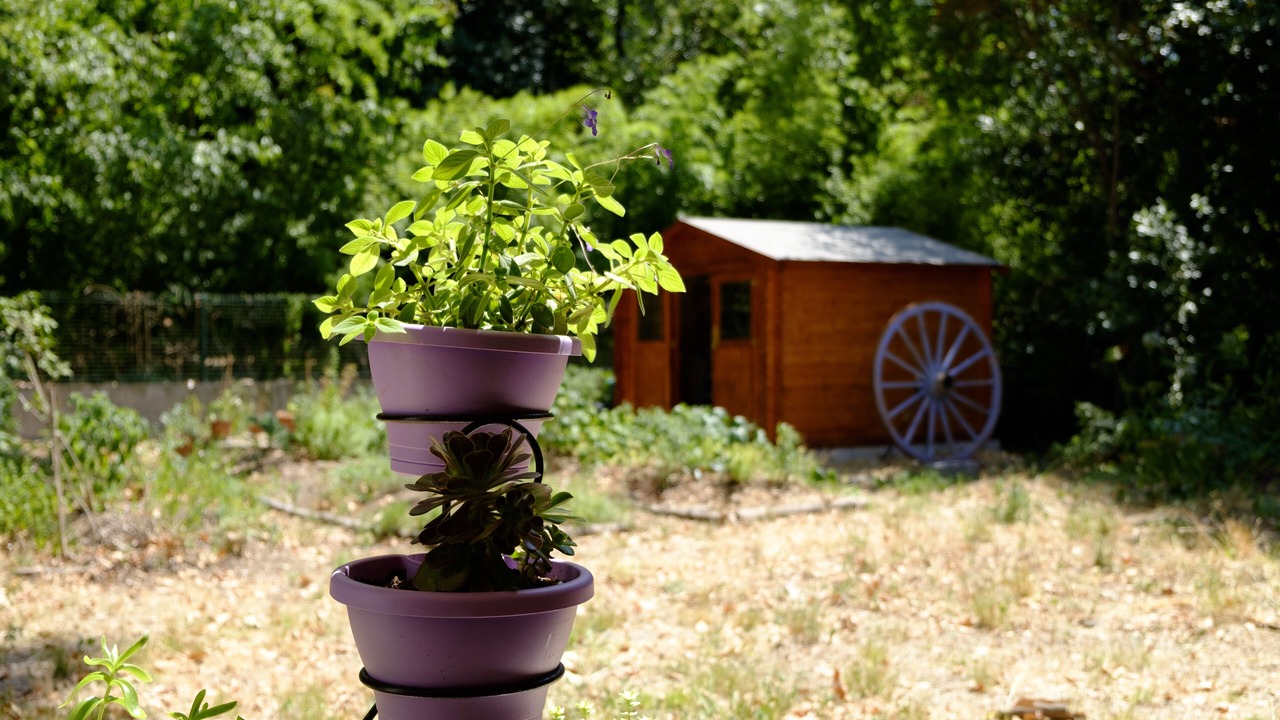 Photo of Outdoor in La Lironde