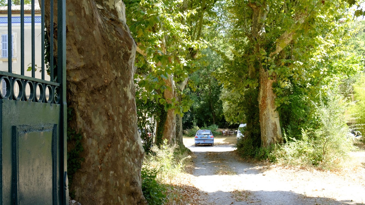 Photo of Outdoor in La Lironde