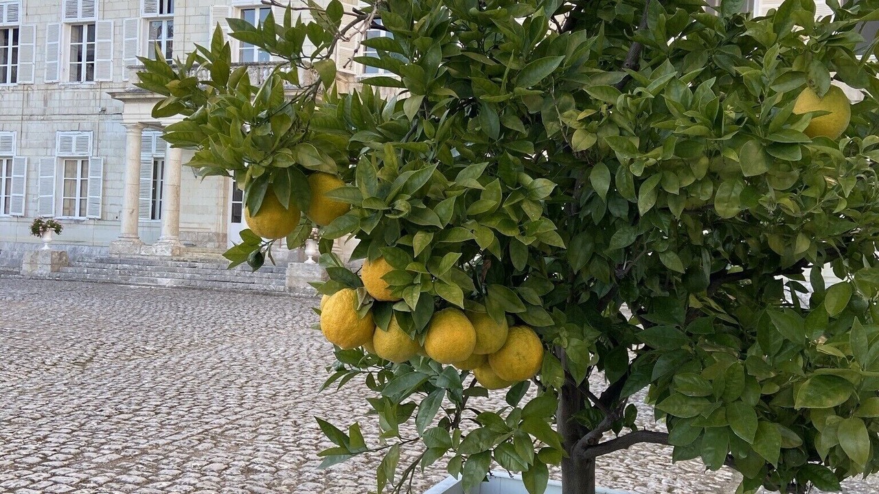 Photo of Outdoor in Avaray