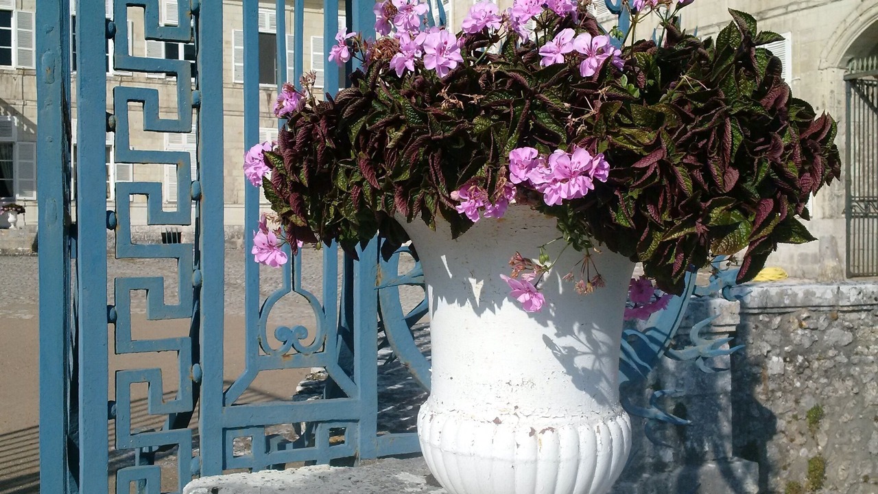 Photo of Outdoor in Avaray