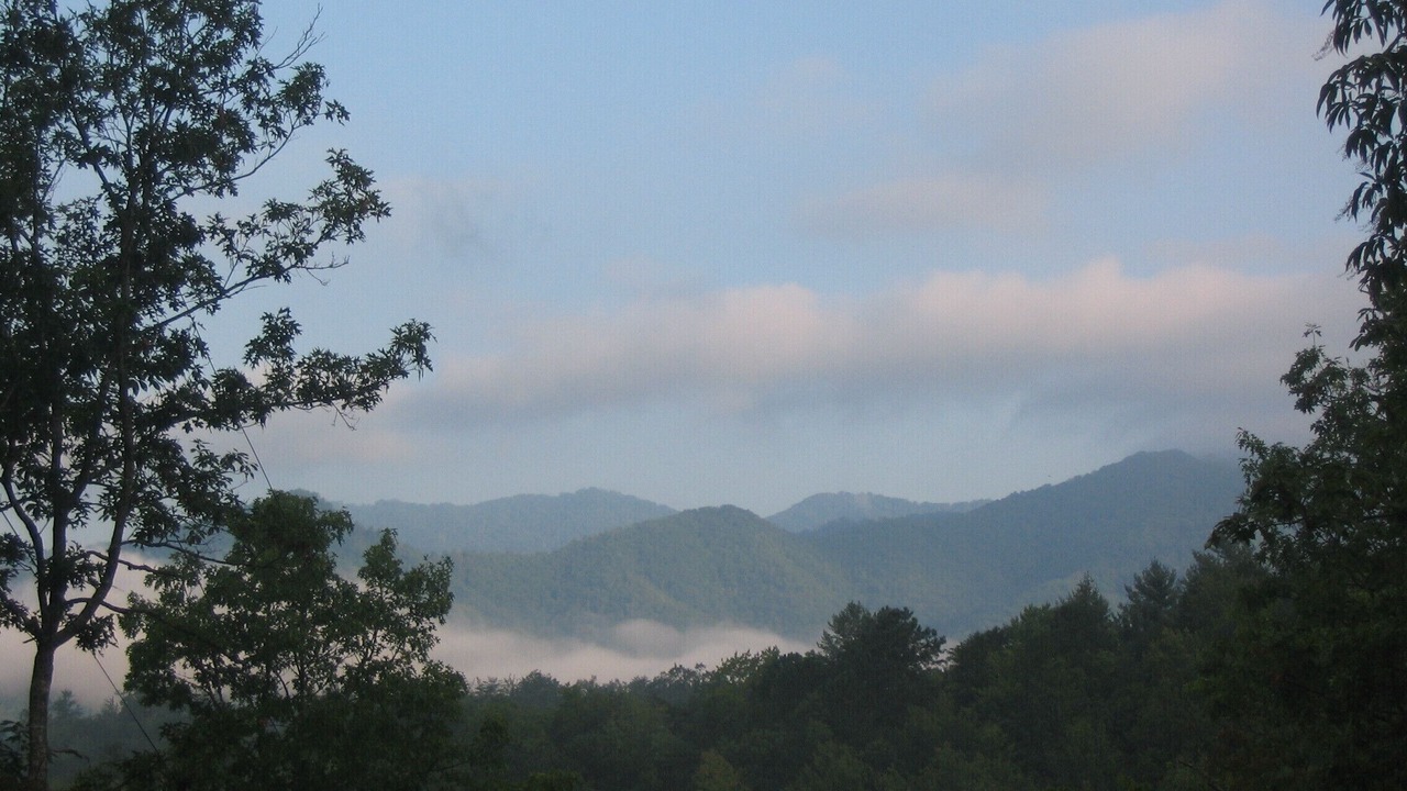 Photo of Others in Cherokee