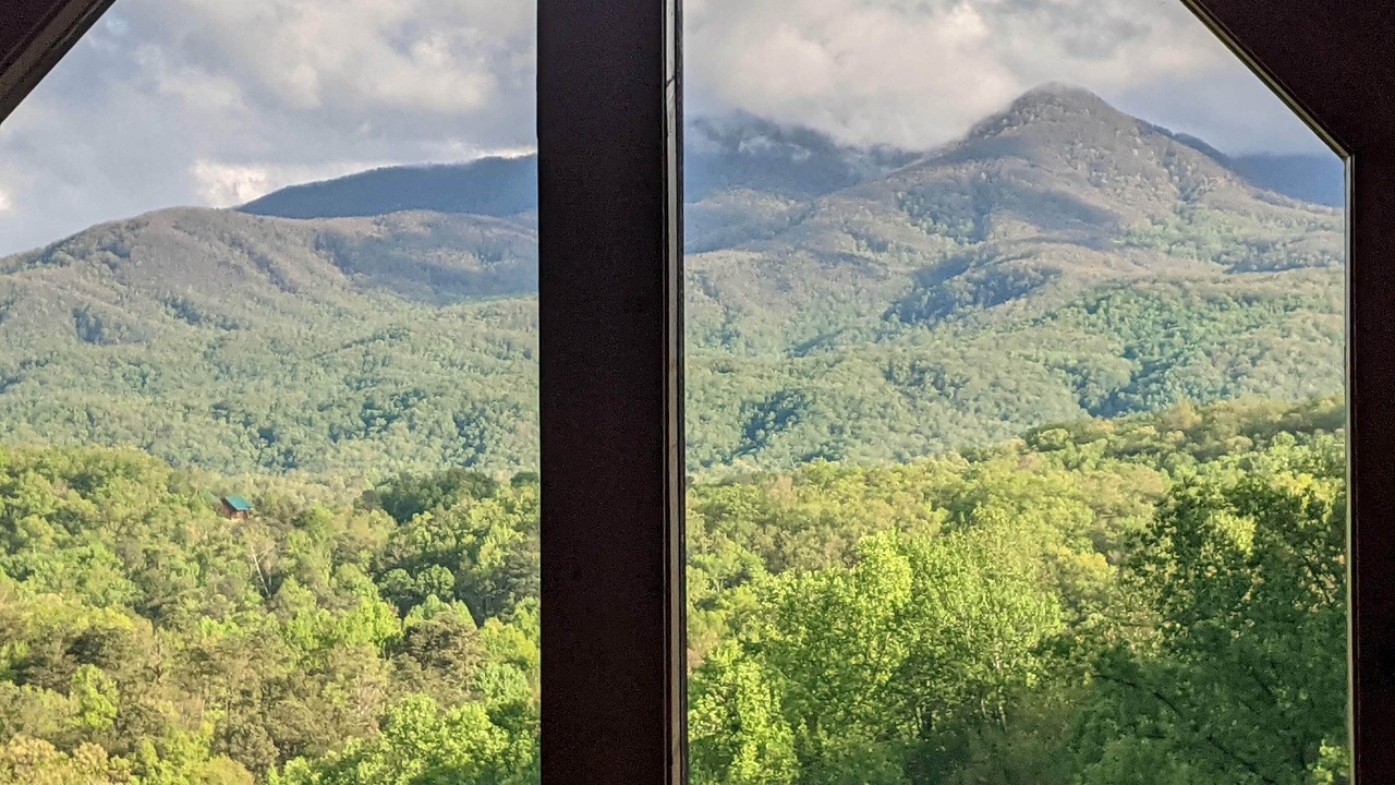 Photo of Others in Sevierville