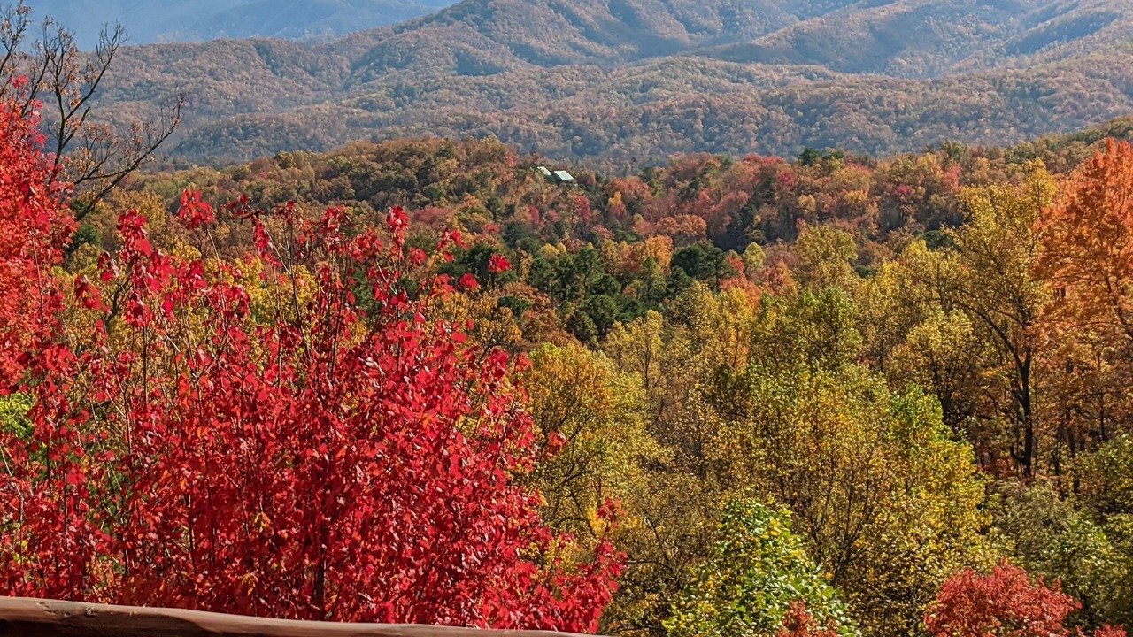 Photo of Others in Sevierville
