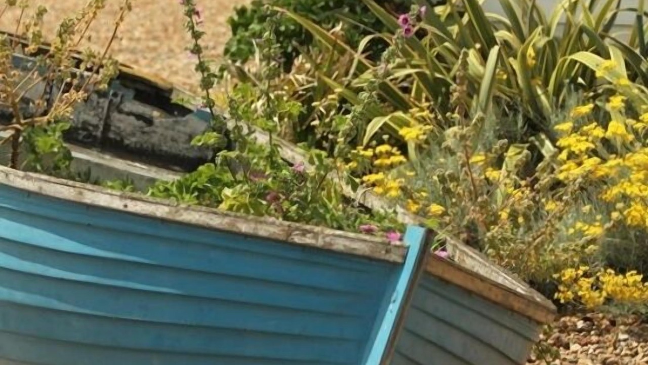 Photo of Others in Kemptown