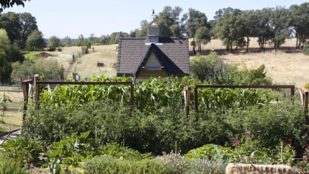 Photo of Outdoor in North Auburn