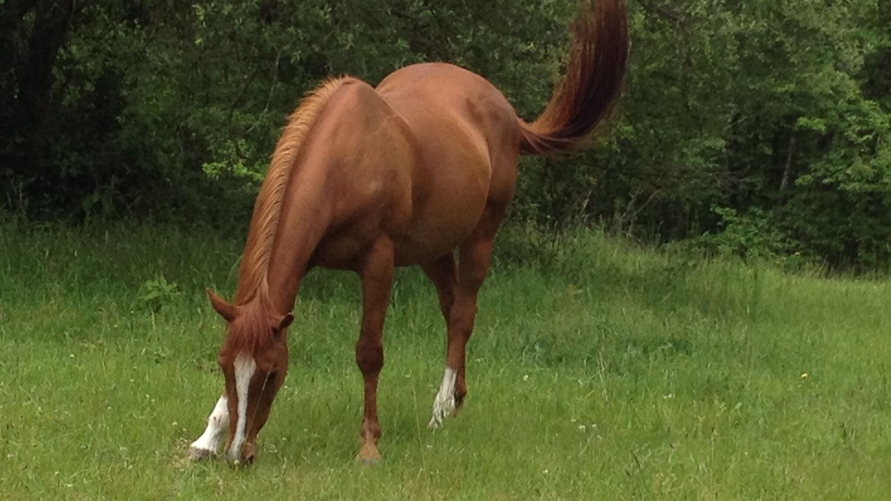 Photo of Outdoor in Villamblard