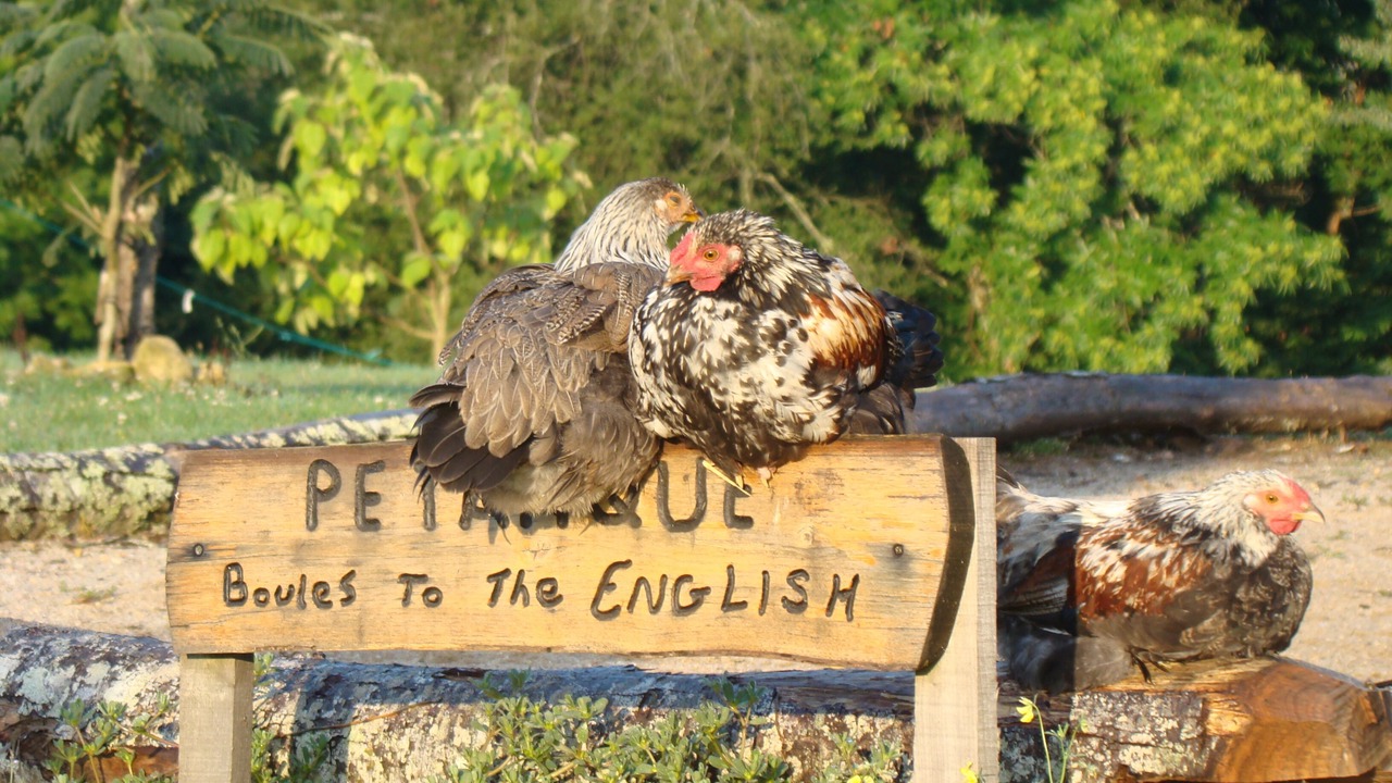 Photo of Outdoor in Villamblard