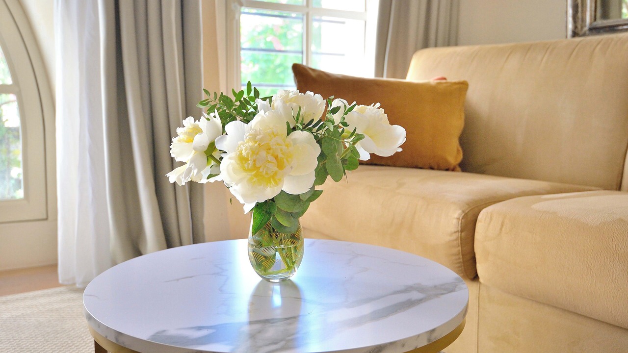 Photo of Others in Paris City Center