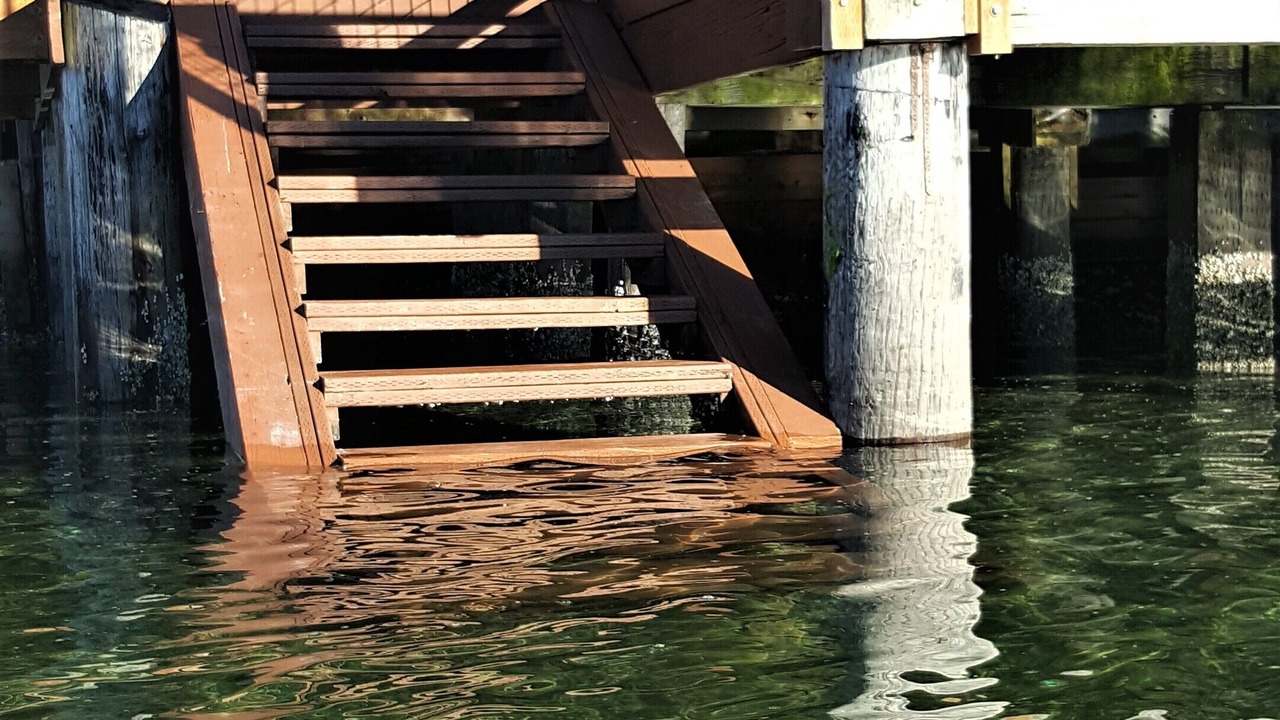 Photo of Outdoor in Vashon Island