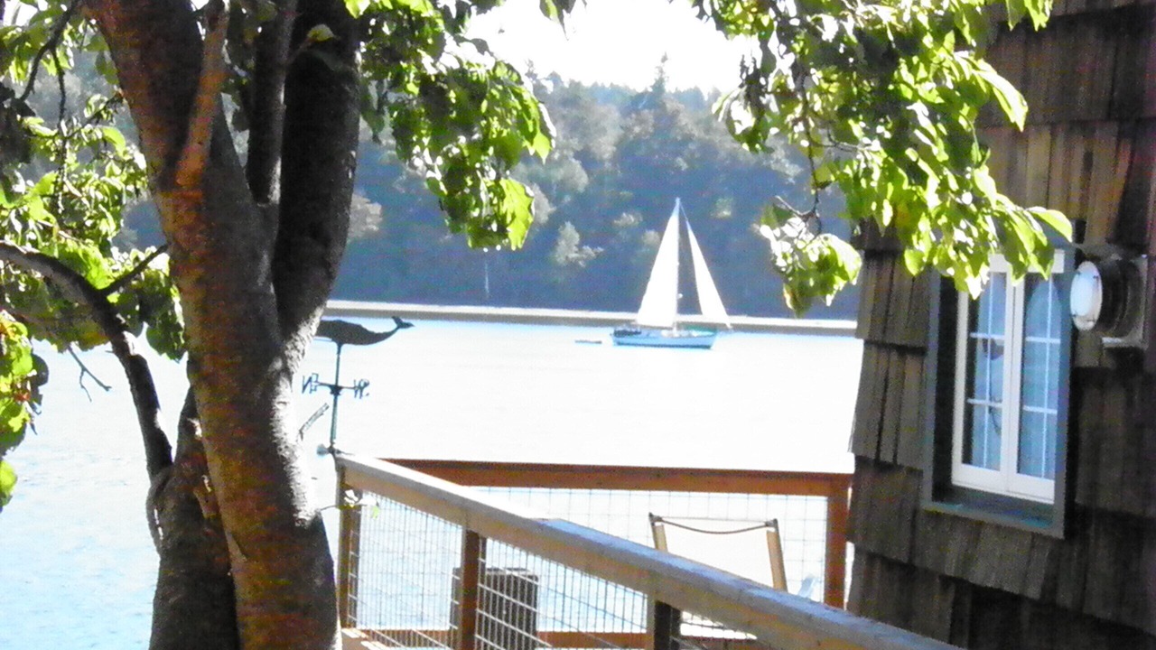 Photo of Others in Vashon Island