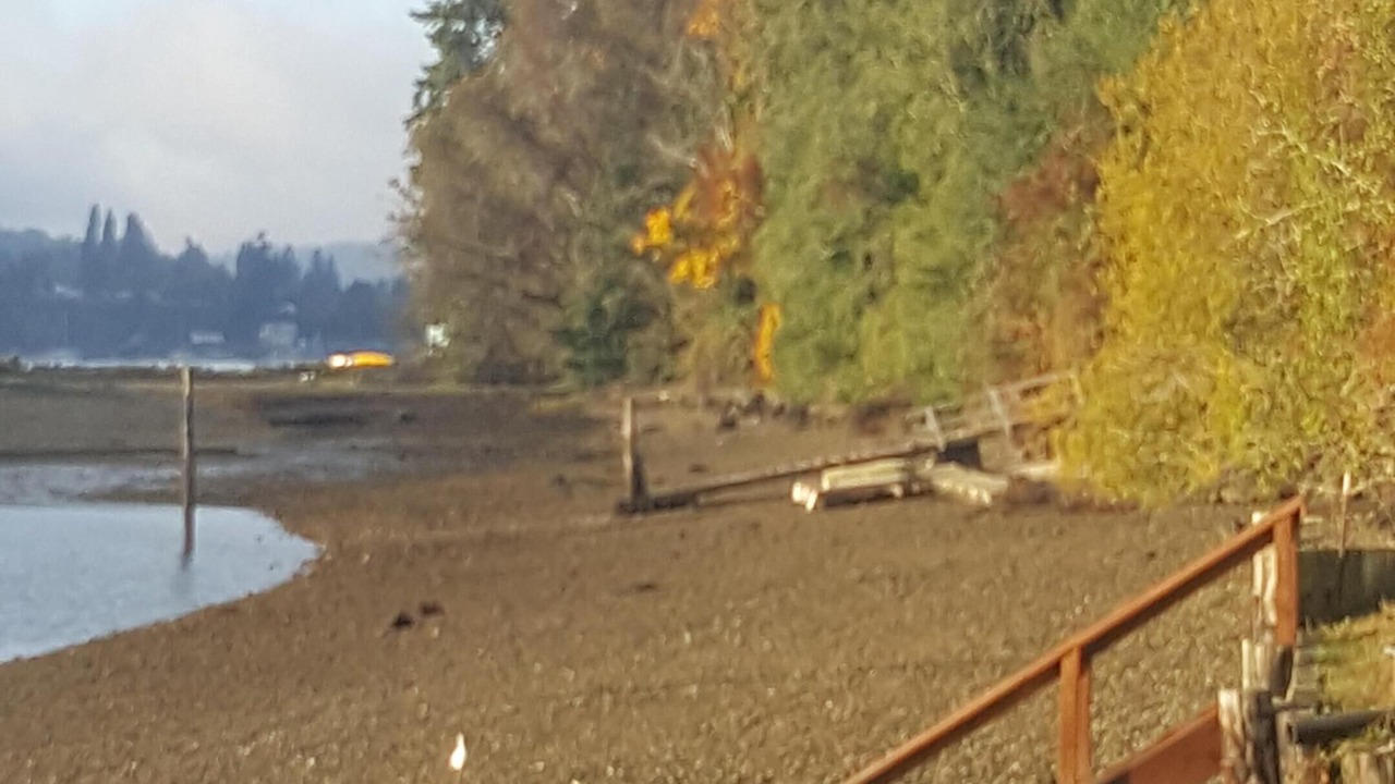 Photo of Others in Vashon Island