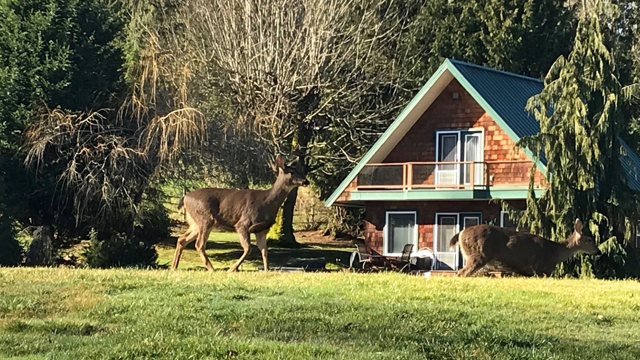 Photo of Others in Big Lake