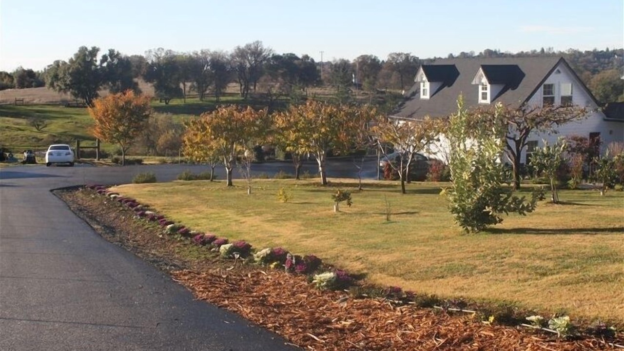 Photo of Others in North Auburn