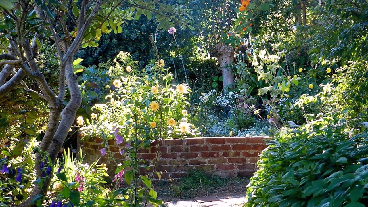 Photo of Outdoor in Mendocino