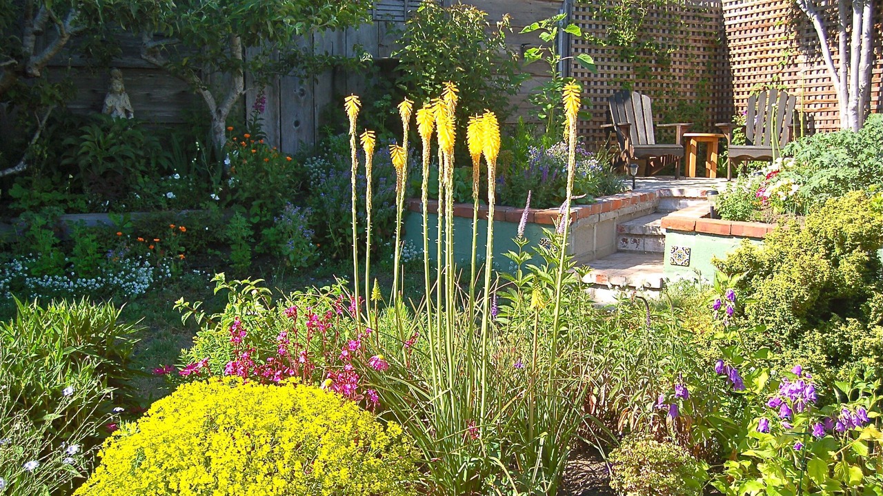 Photo of Outdoor in Mendocino