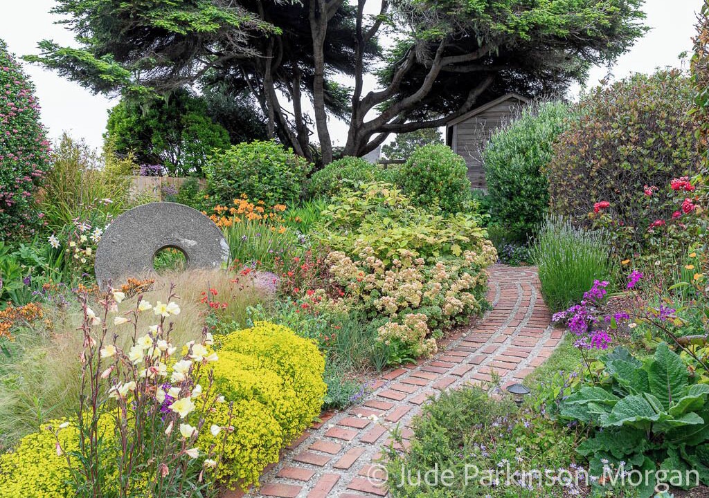 Photo of Outdoor in Mendocino