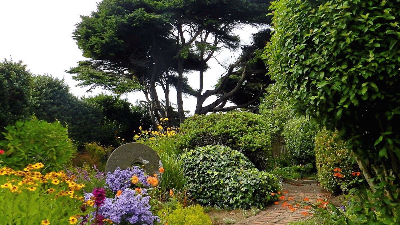 Photo of Others in Mendocino