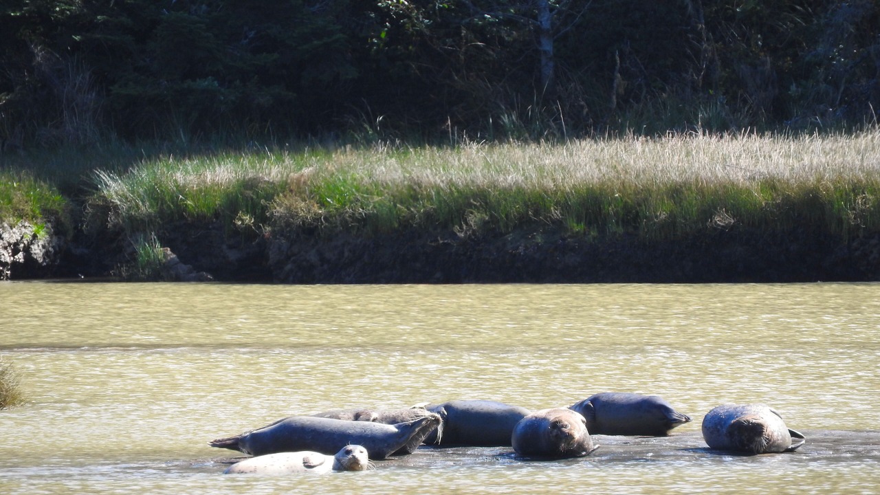 Photo of Others in Mendocino