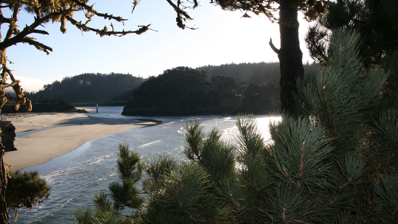 Photo of Others in Mendocino