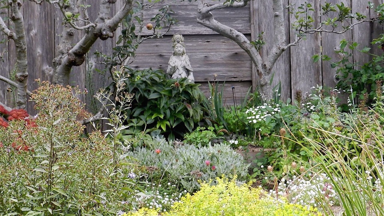 Photo of Others in Mendocino