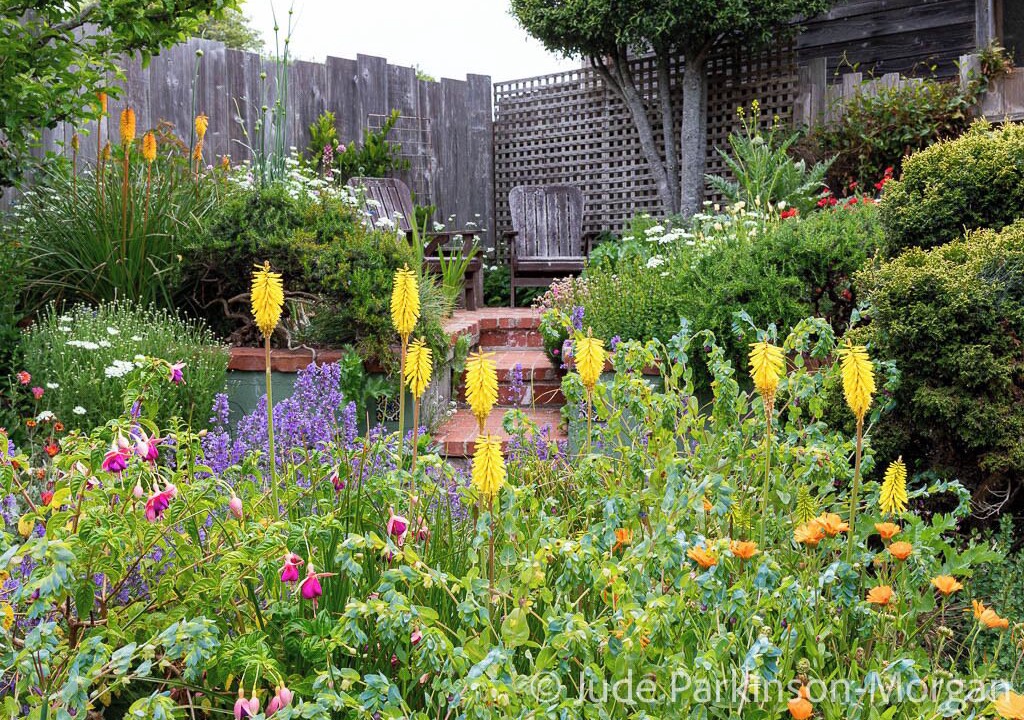 Photo of Outdoor in Mendocino