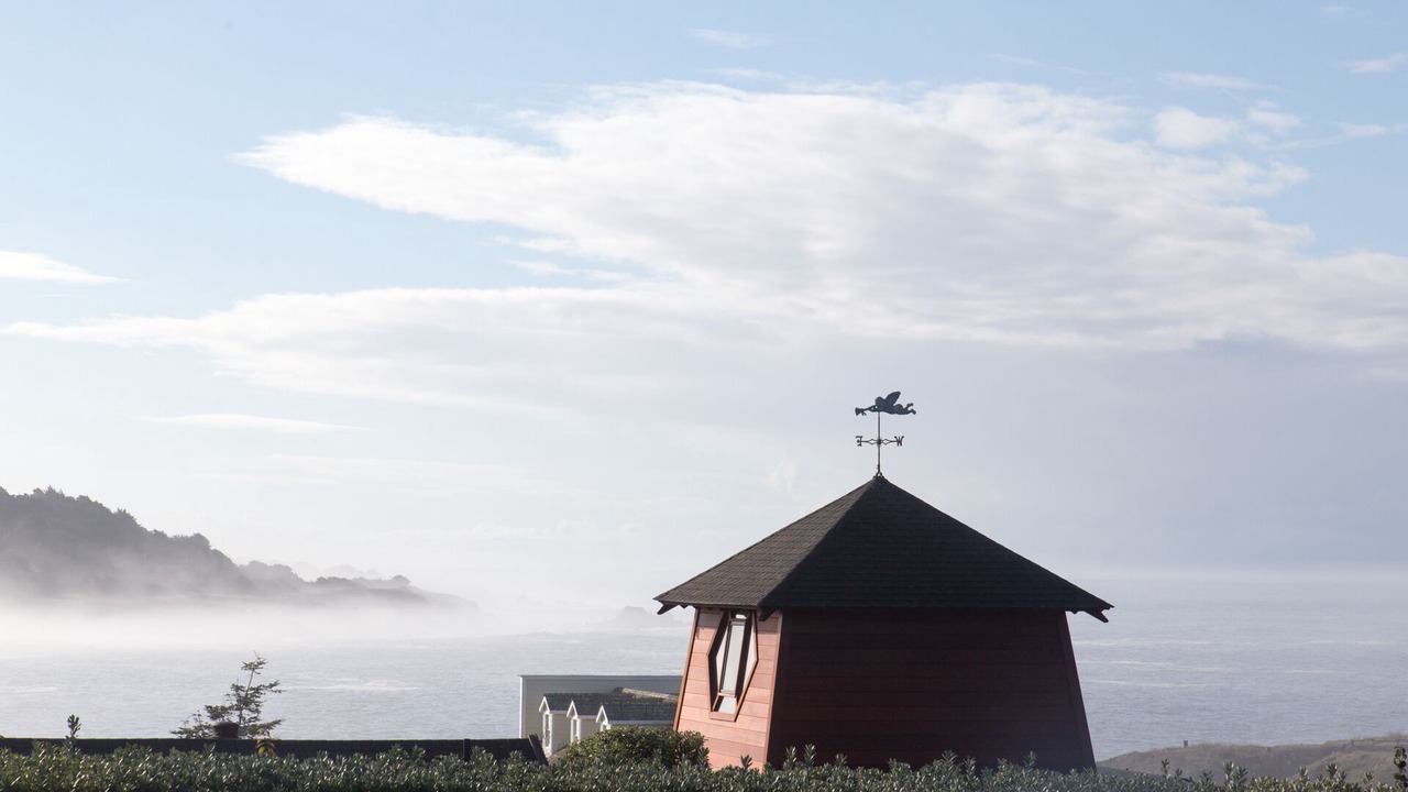 Photo of Others in Mendocino