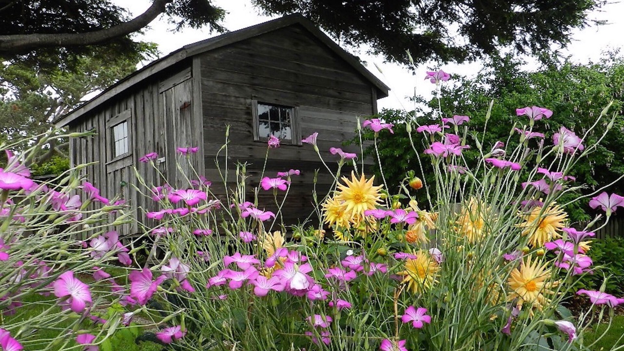 Photo of Outdoor in Mendocino