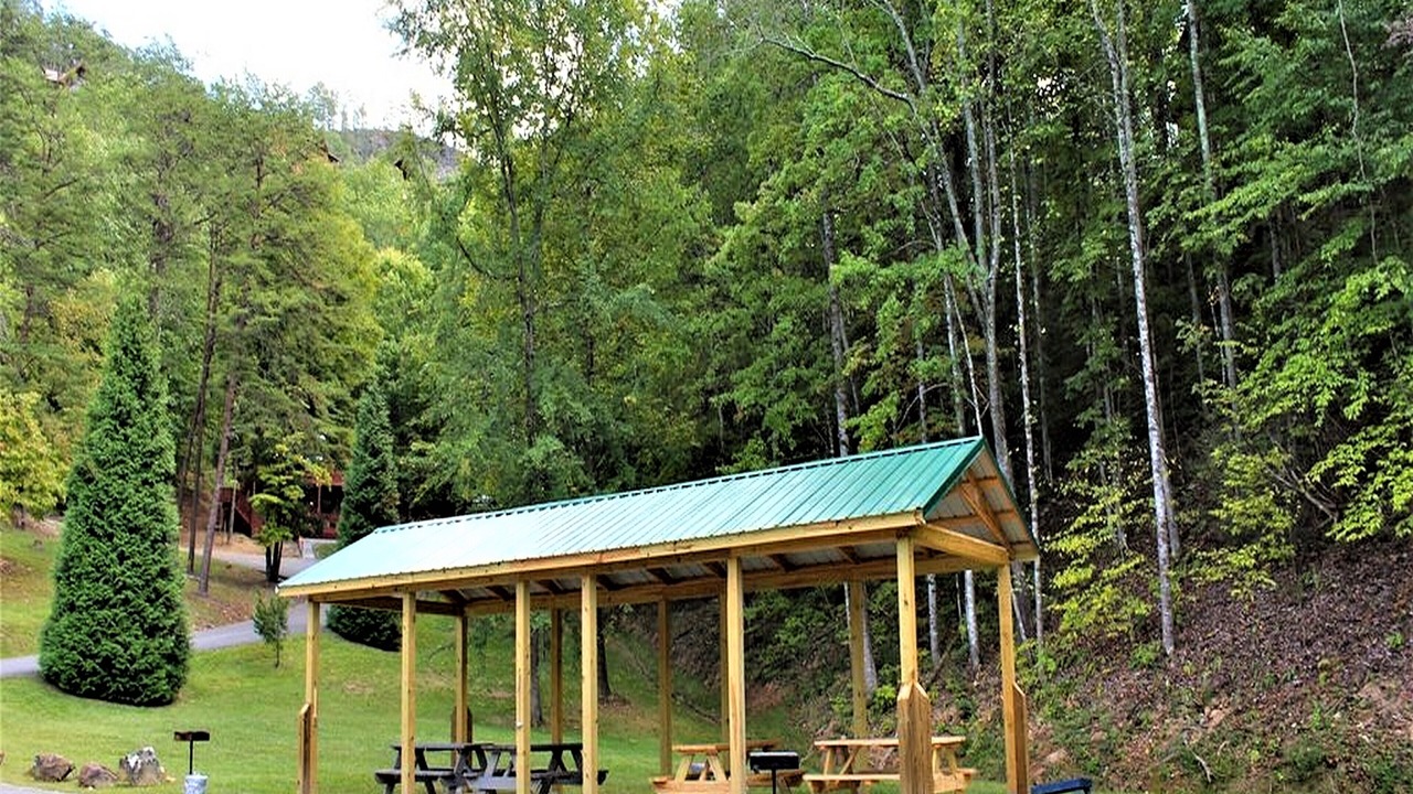 Photo of Others in Sevierville