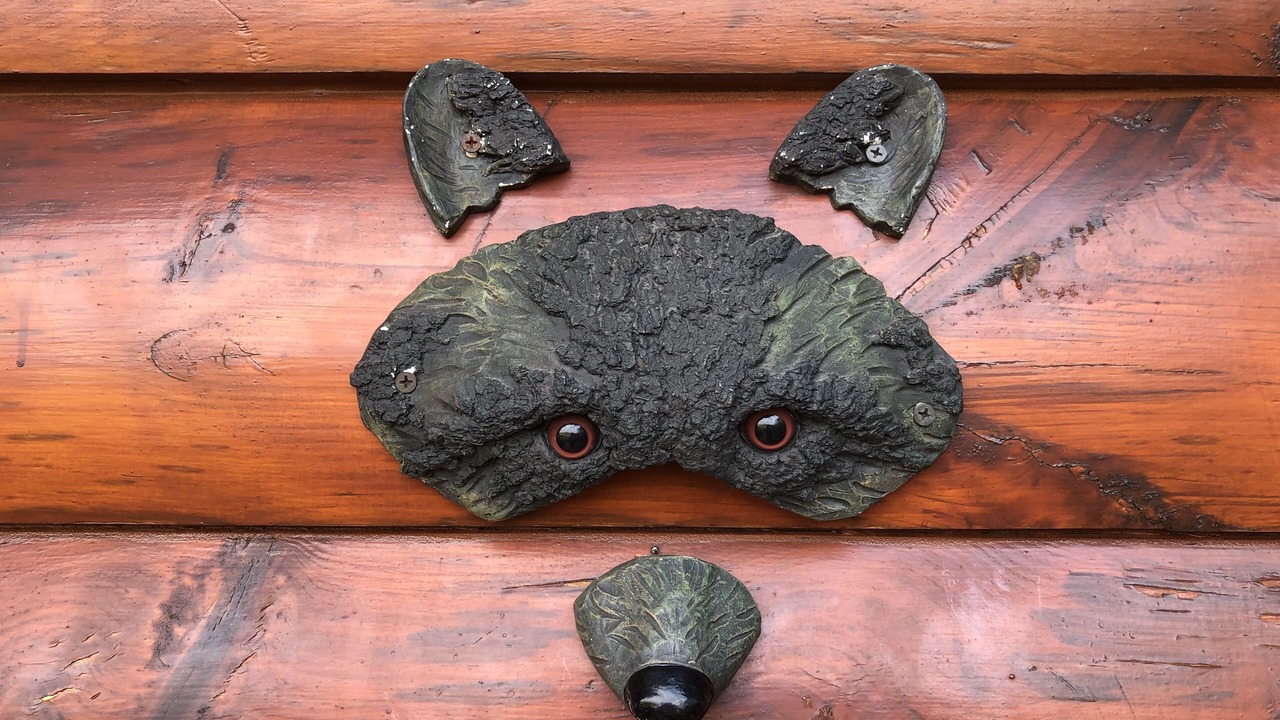 Photo of Others in Sevierville