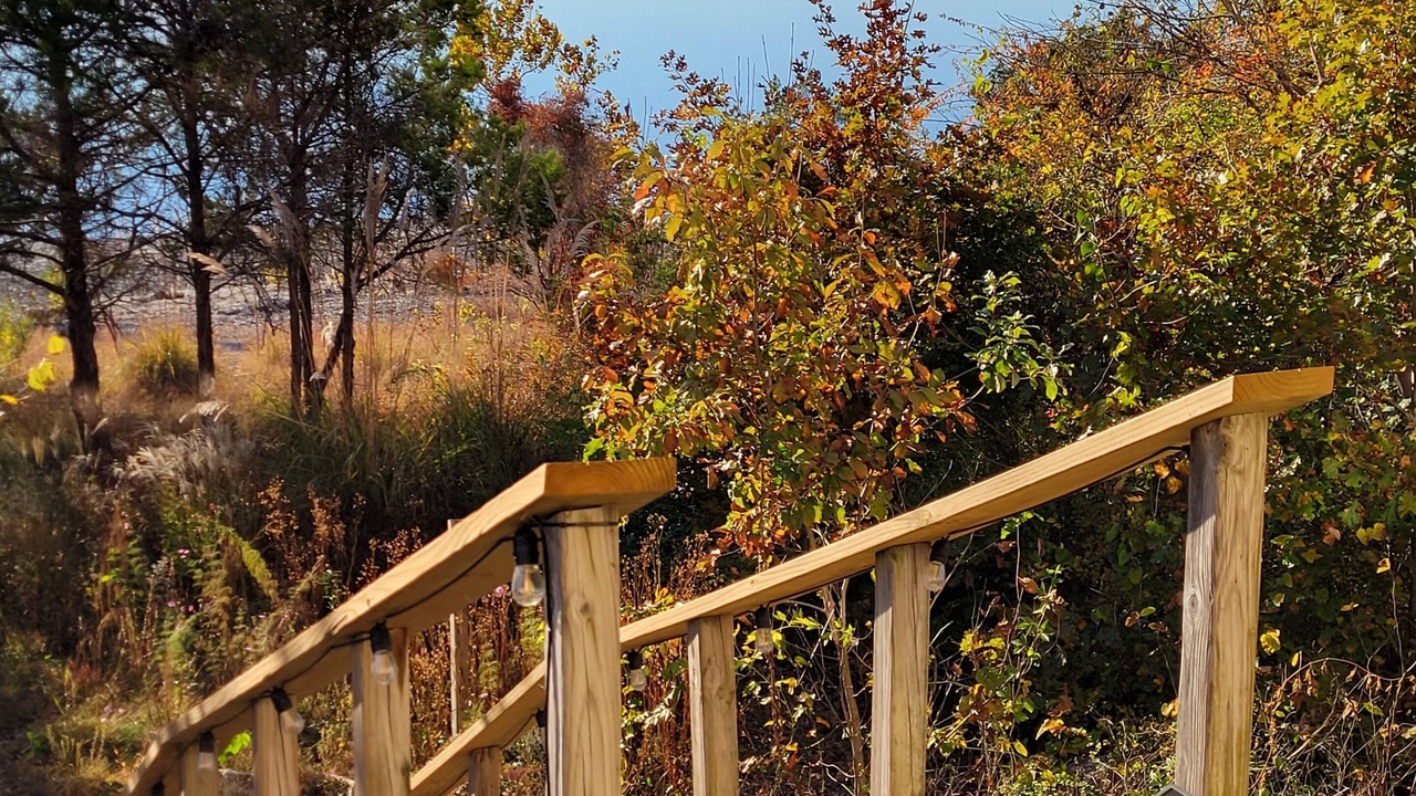 Photo of Outdoor in Hollister