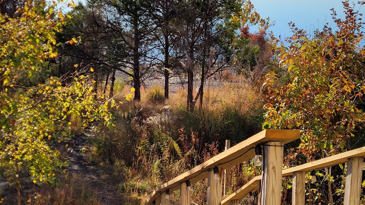 Photo of Outdoor in Hollister