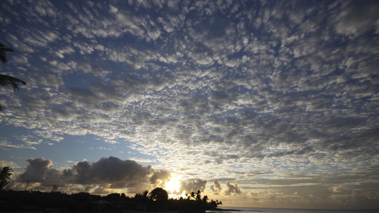 Photo of Others in Poipu