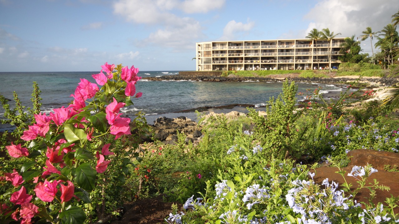 Photo of Others in Poipu