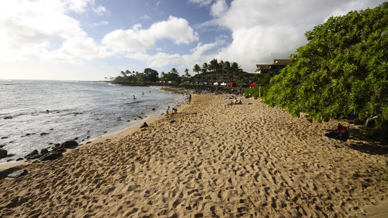 Photo of Others in Poipu