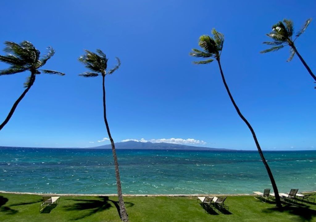 Photo of Others in Honokowai