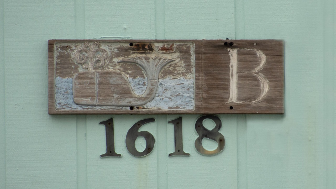 Photo of Outdoor in North Carolina Coast