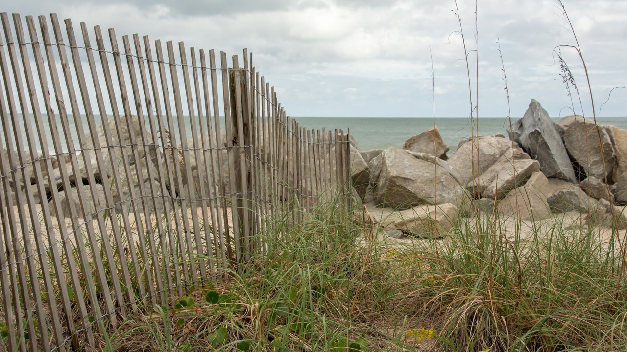 Photo of Others in North Carolina Coast