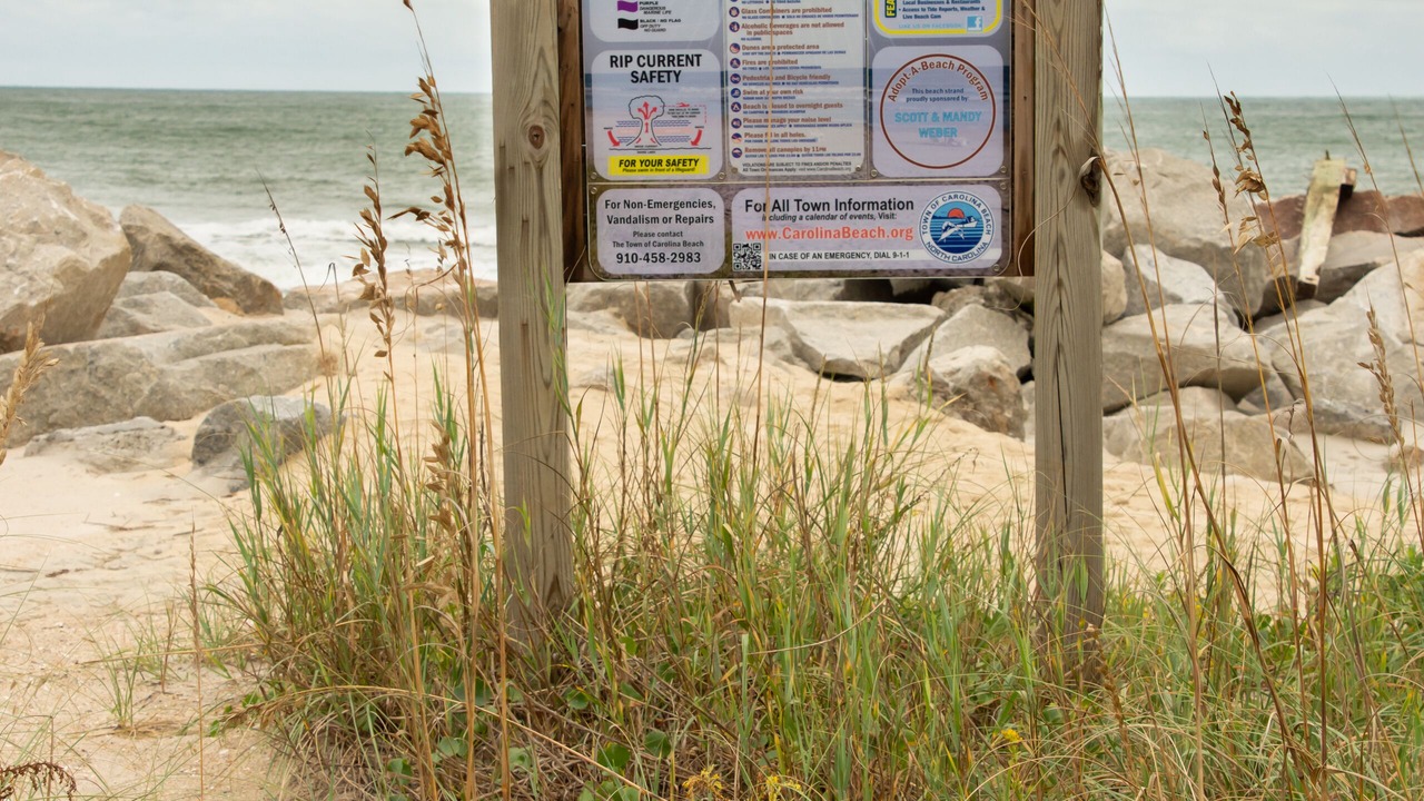 Photo of Others in North Carolina Coast